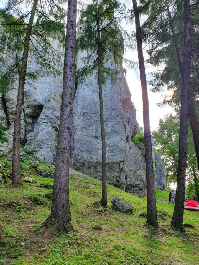 Pokoje Przy Zamku Podzamcze  Luaran gambar