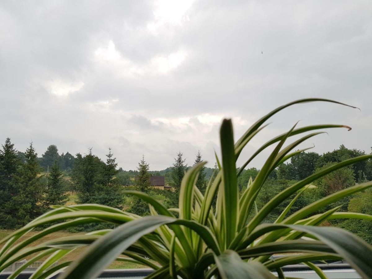 Pokoje Przy Zamku Podzamcze  Luaran gambar