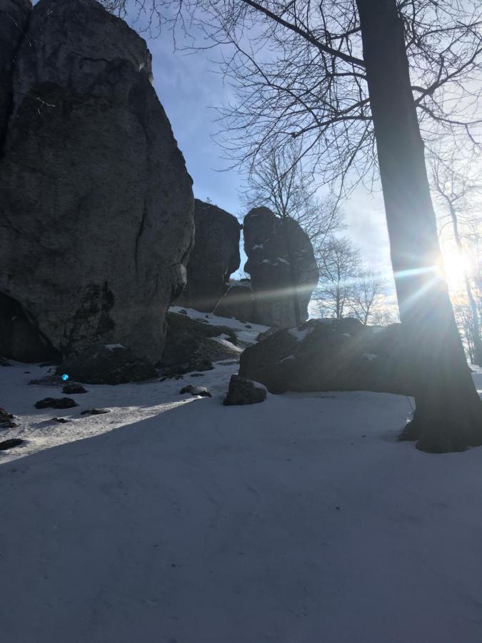 Pokoje Przy Zamku Podzamcze  Luaran gambar