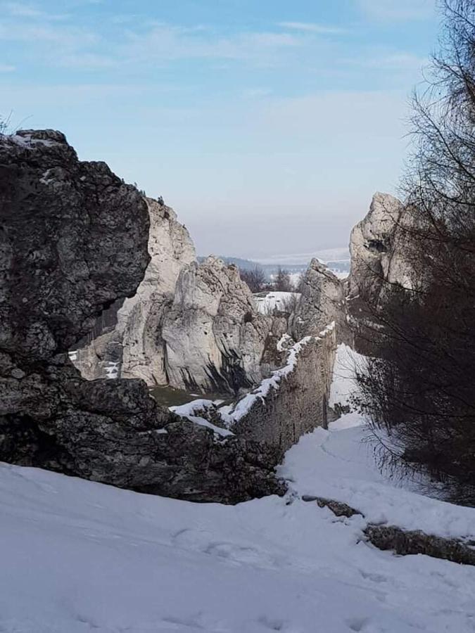 Pokoje Przy Zamku Podzamcze  Luaran gambar