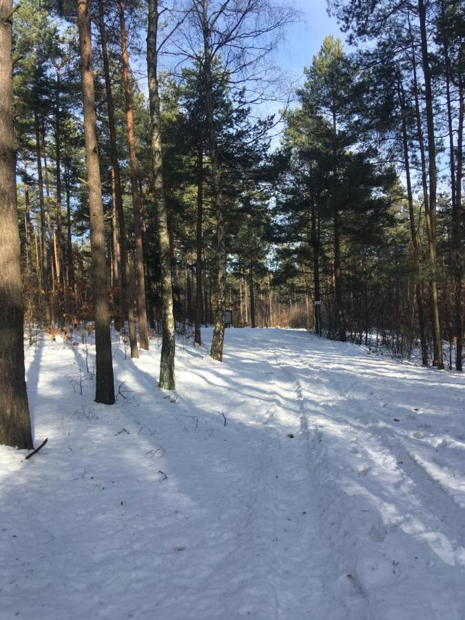 Pokoje Przy Zamku Podzamcze  Luaran gambar