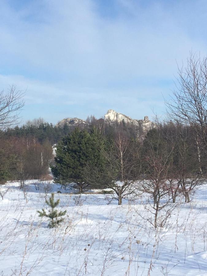Pokoje Przy Zamku Podzamcze  Luaran gambar