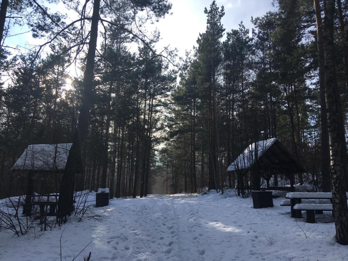 Pokoje Przy Zamku Podzamcze  Luaran gambar