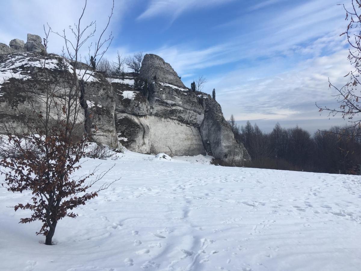 Pokoje Przy Zamku Podzamcze  Luaran gambar