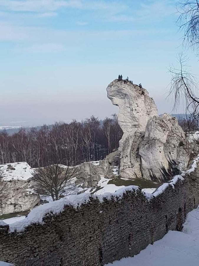 Pokoje Przy Zamku Podzamcze  Luaran gambar