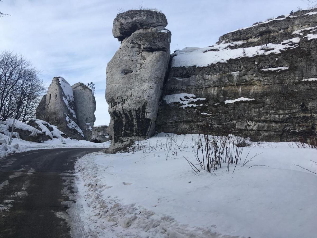 Pokoje Przy Zamku Podzamcze  Luaran gambar