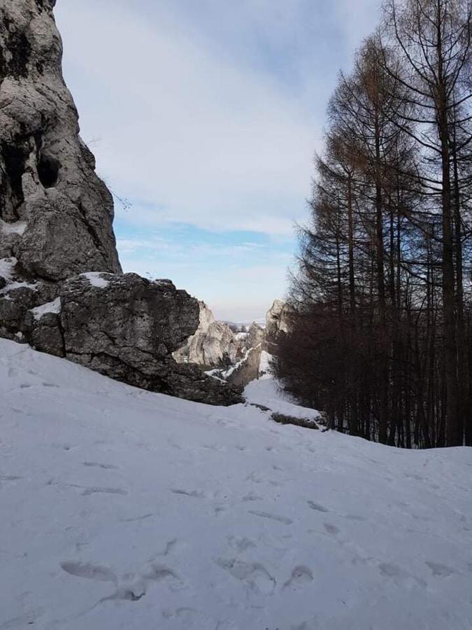 Pokoje Przy Zamku Podzamcze  Luaran gambar